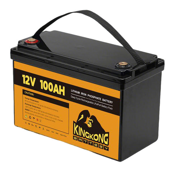 Port&aacute;til (12,8 V 100 Ah)